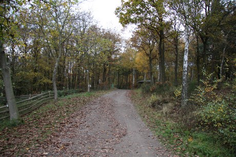 freilichtmuseum
