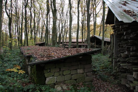 freilichtmuseum