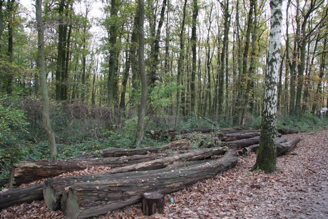 freilichtmuseum