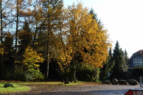 bergisch-neukirchen