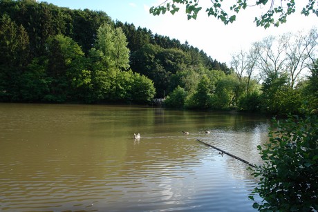 bergisch-neukirchen