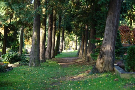 friedhof