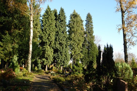 friedhof