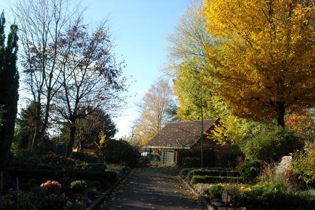 friedhof
