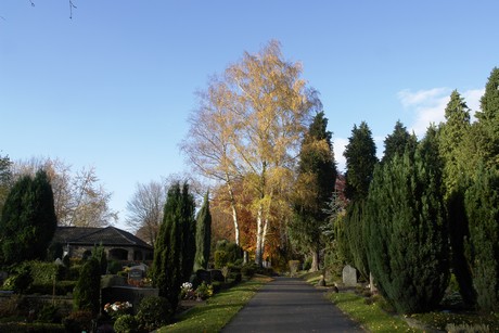 friedhof
