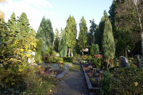 friedhof