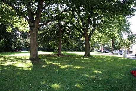 buerrig