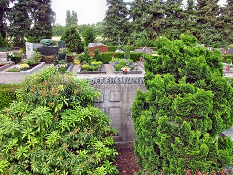 friedhof