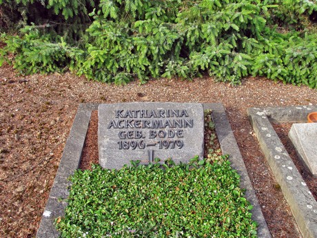 friedhof