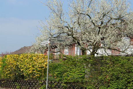 luetzenkirchen