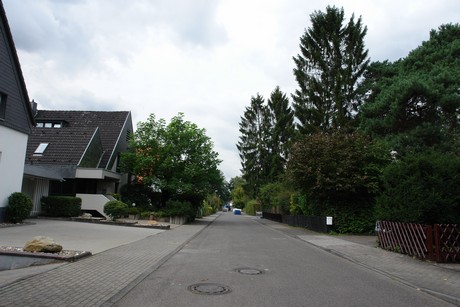 schlebusch