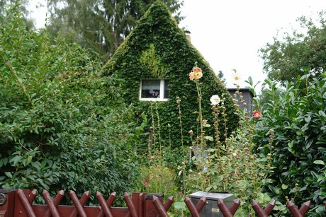 schlebusch