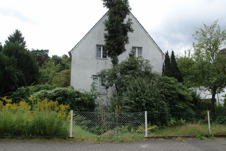 schlebusch