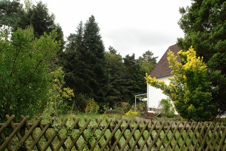 schlebusch