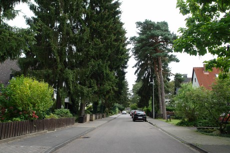 schlebusch