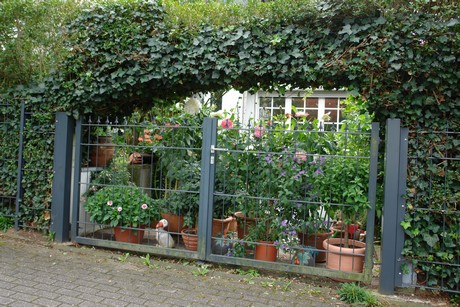 schlebusch