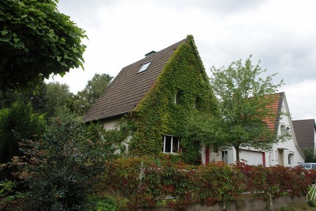 schlebusch