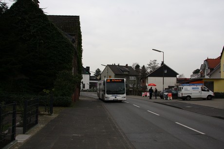 steinbuechel