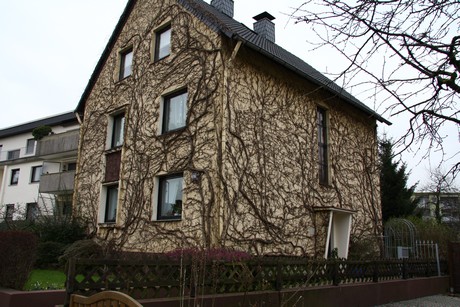 steinbuechel