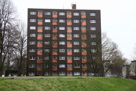 steinbuechel