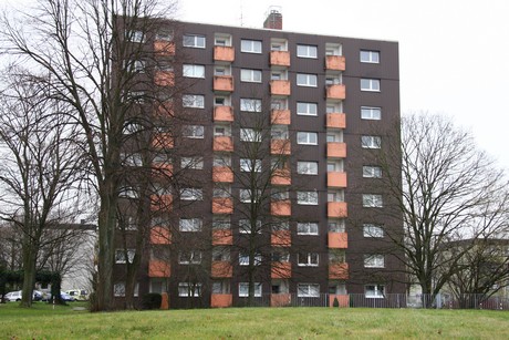 steinbuechel