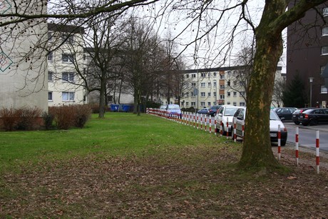 steinbuechel
