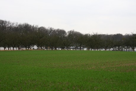 steinbuechel