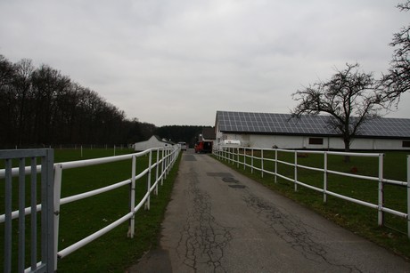 steinbuechel
