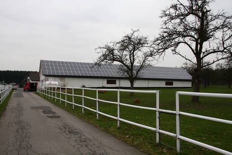 steinbuechel