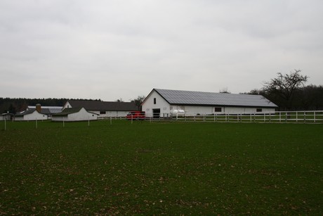 steinbuechel