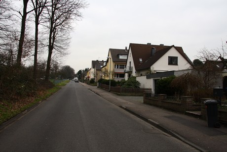 steinbuechel