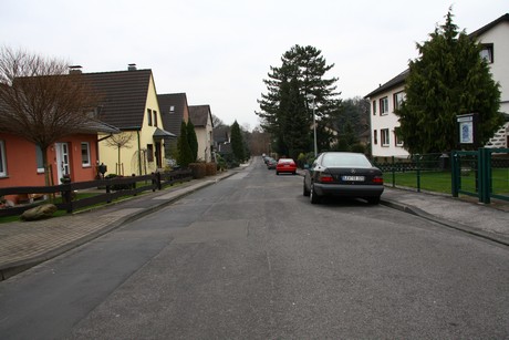 steinbuechel
