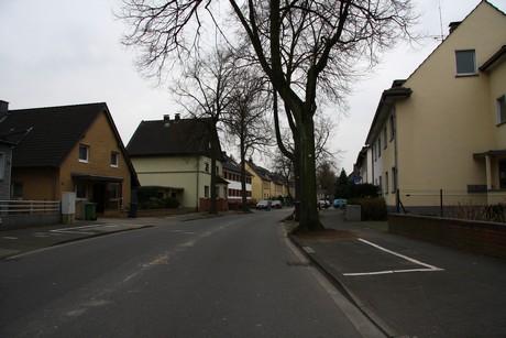 steinbuechel
