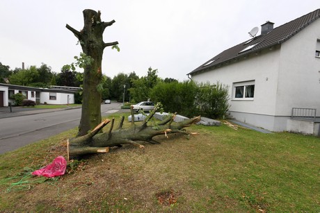 wiesdorf
