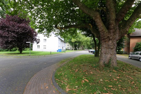 wiesdorf