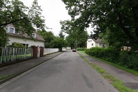 wiesdorf