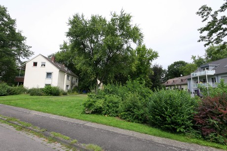 wiesdorf
