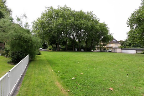 wiesdorf