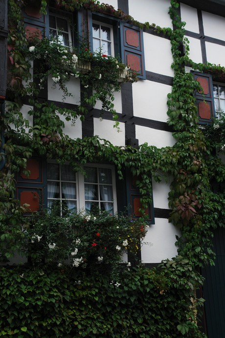 mechernich