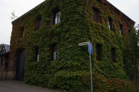 mechernich