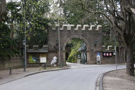 burg-satzvey
