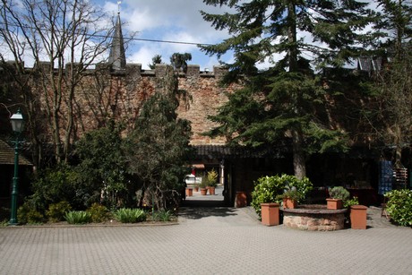 burg-satzvey
