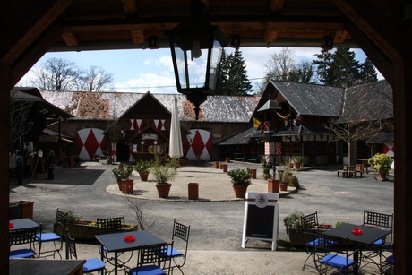 burg-satzvey