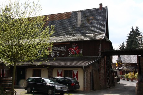 burg-satzvey
