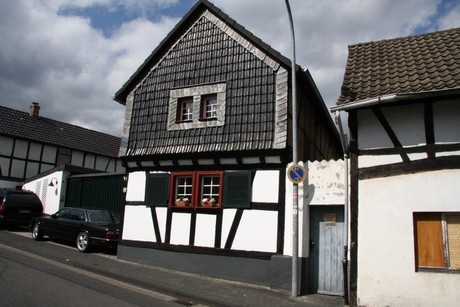 satzvey