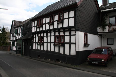 satzvey