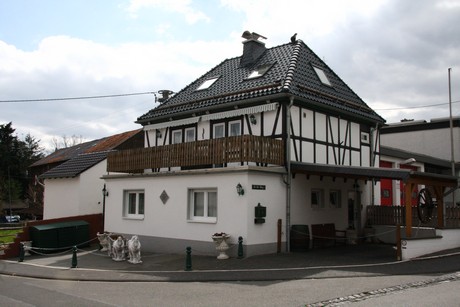 satzvey