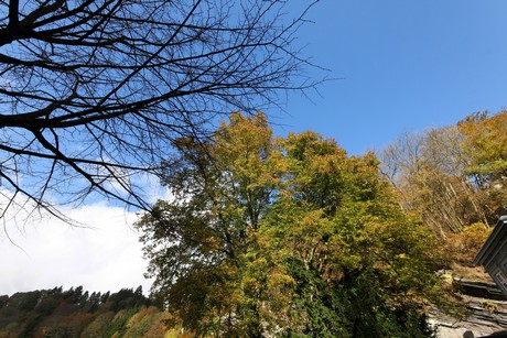 herbst