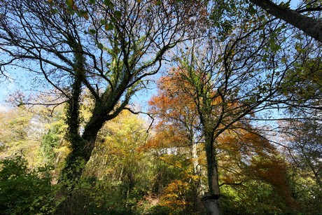 herbst