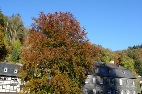 monschau